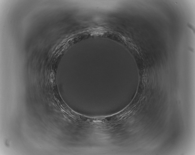 X0000102311445200807251428