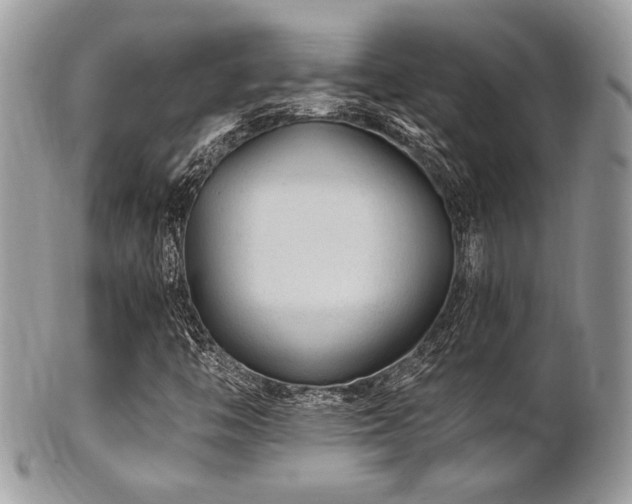 X0000102311446200807251428