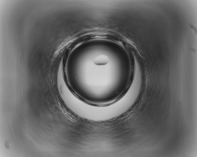 X0000102311448200807251428