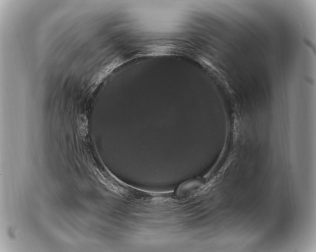 X0000102311449200807251428