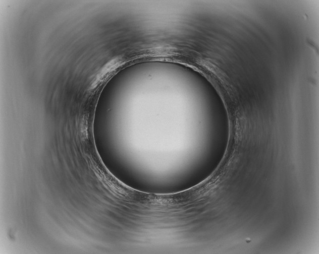X0000102311451200807251428