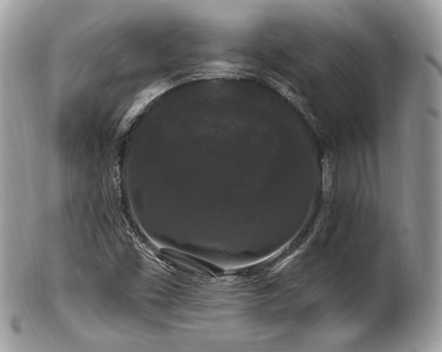X0000102311453200807251428