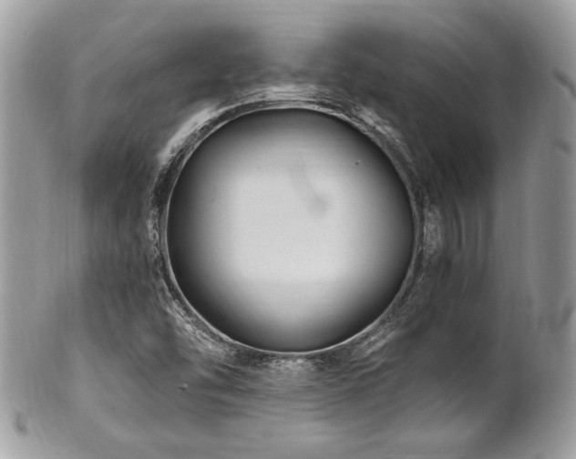 X0000102311454200807251428