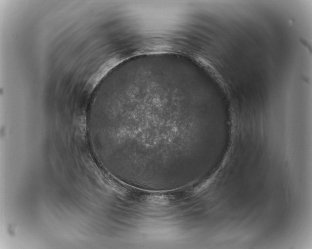 X0000102311457200807251428