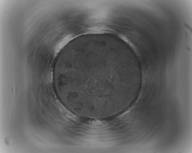 X0000102311459200807251428