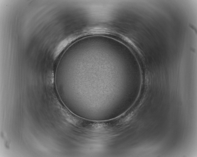 X0000102311461200807251428