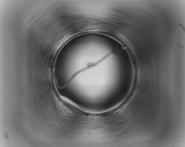 X0000102311465200807251428