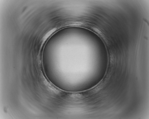 X0000102311466200807251428