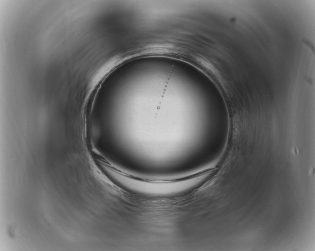 X0000102311467200807251428