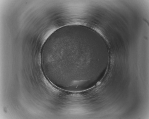 X0000102311468200807251428