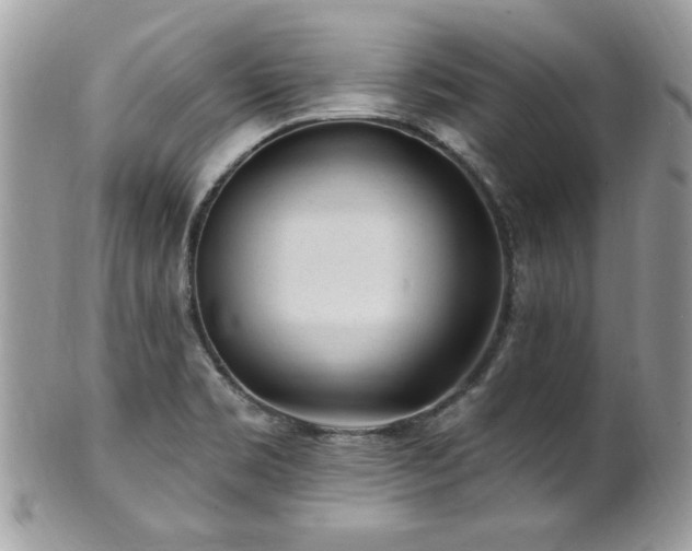 X0000102311469200807251428