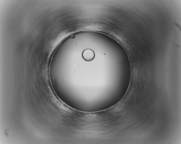X0000102311470200807251428