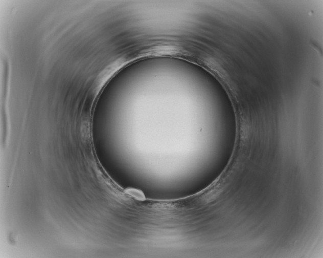 X0000102311473200807251428