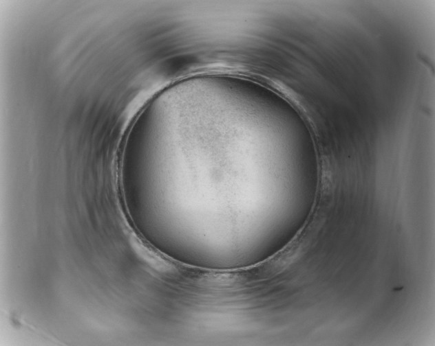 X0000102311474200807251428