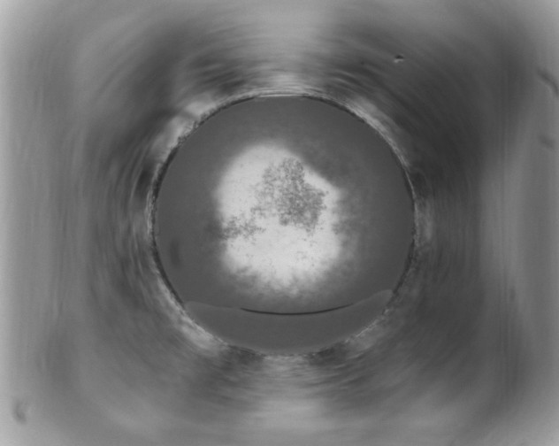 X0000102311477200807251428