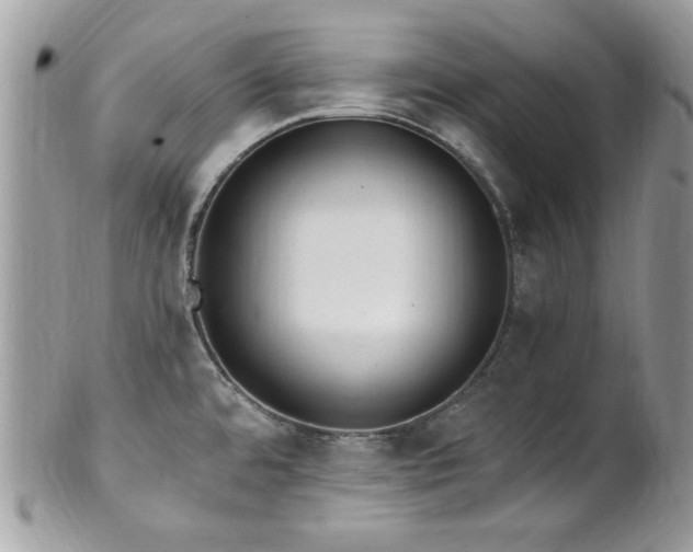 X0000102311480200807251428