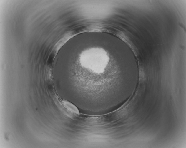 X0000102311481200807251428