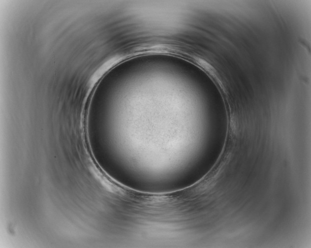 X0000102311482200807251428