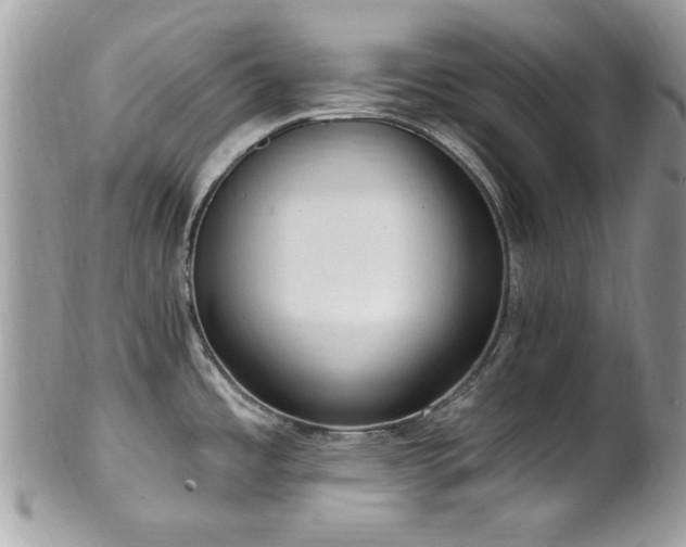X0000102311485200807251428