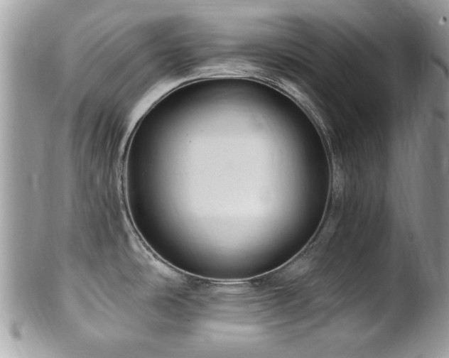 X0000102311486200807251428