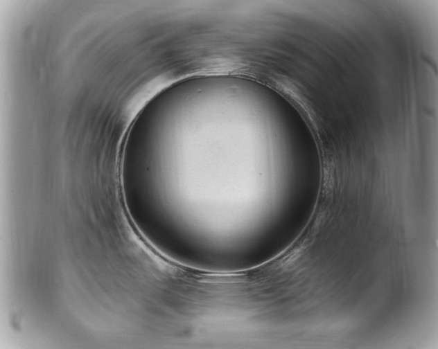 X0000102311487200807251428