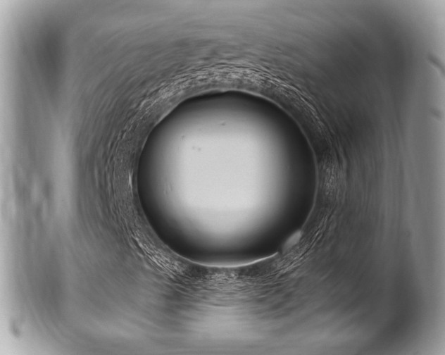 X0000102311489200807251427