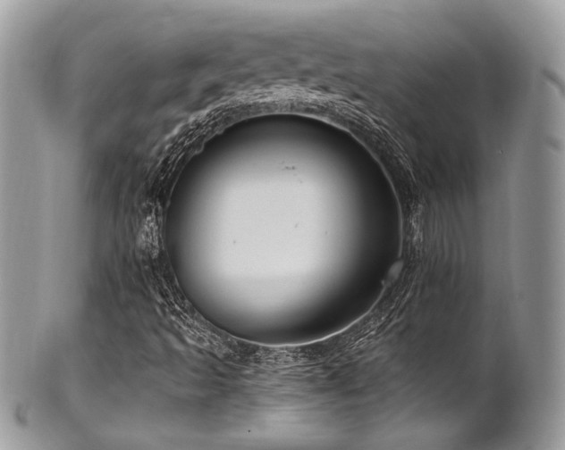X0000102311493200807251427
