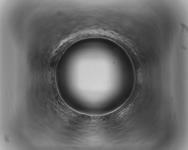X0000102311494200807251427
