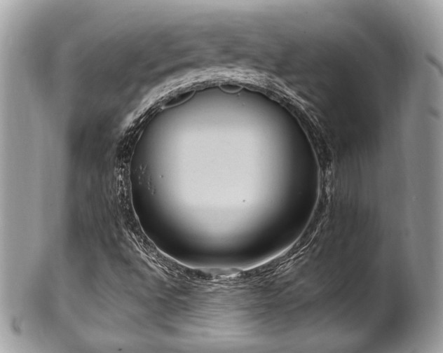 X0000102311496200807251427