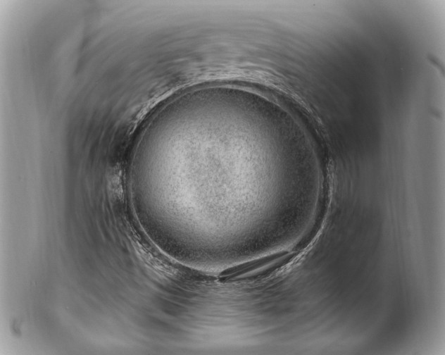 X0000102311497200807251427
