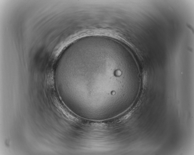 X0000102311498200807251427