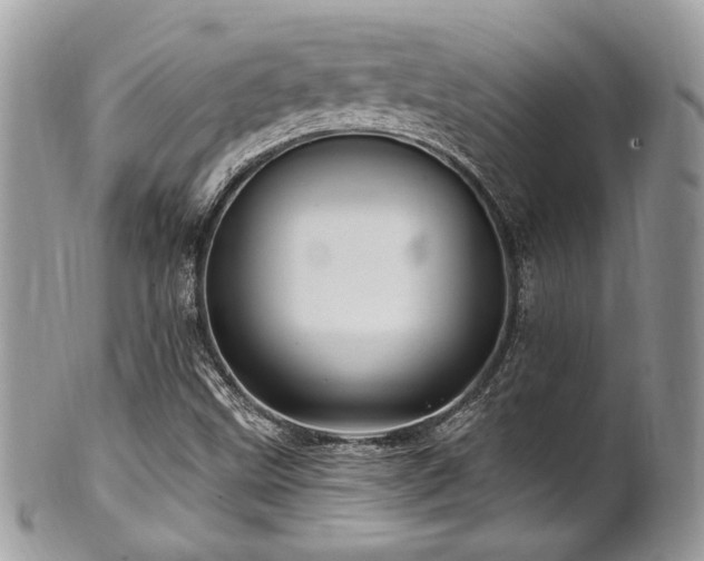 X0000102311499200807251427