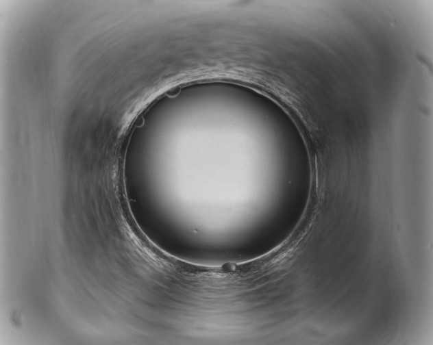 X0000102311500200807251427