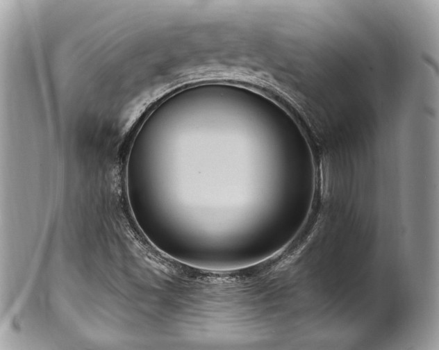 X0000102311501200807251427