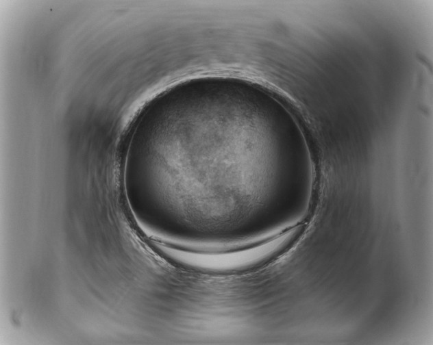 X0000102311506200807251427
