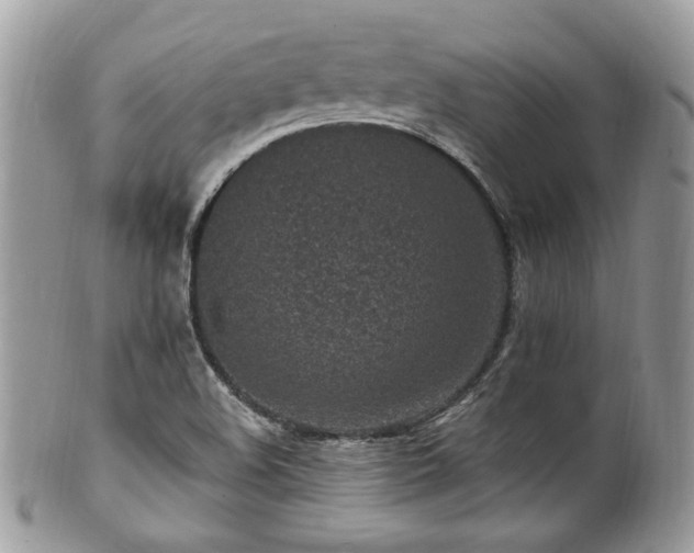 X0000102311508200807251427