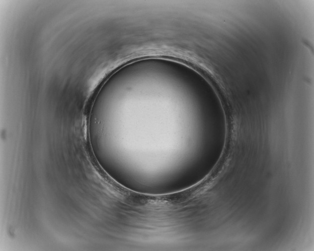 X0000102311509200807251427