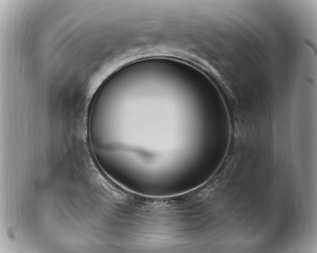 X0000102311512200807251427