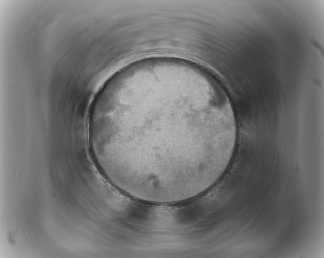 X0000102311514200807251427