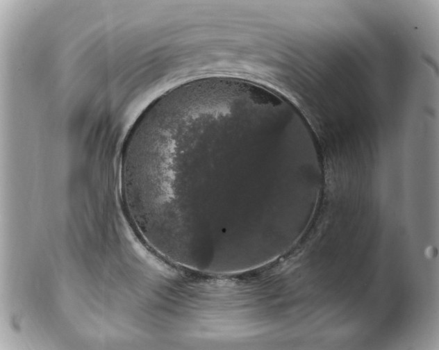 X0000102311515200807251427