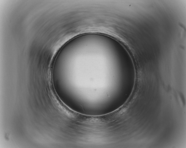 X0000102311517200807251427