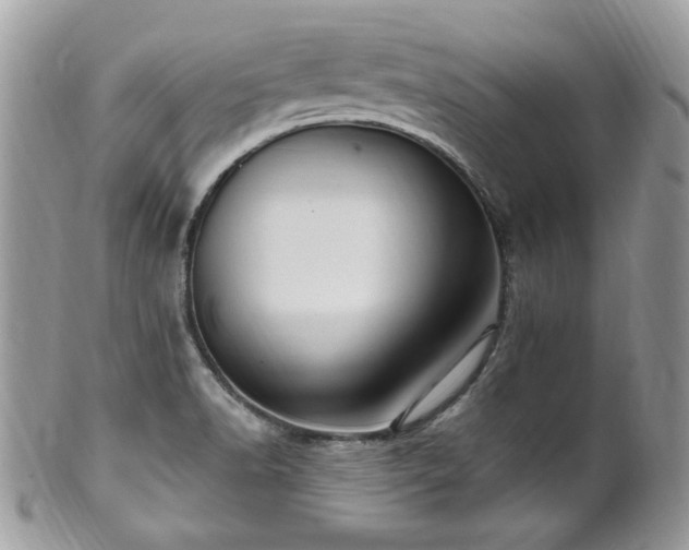 X0000102311518200807251427