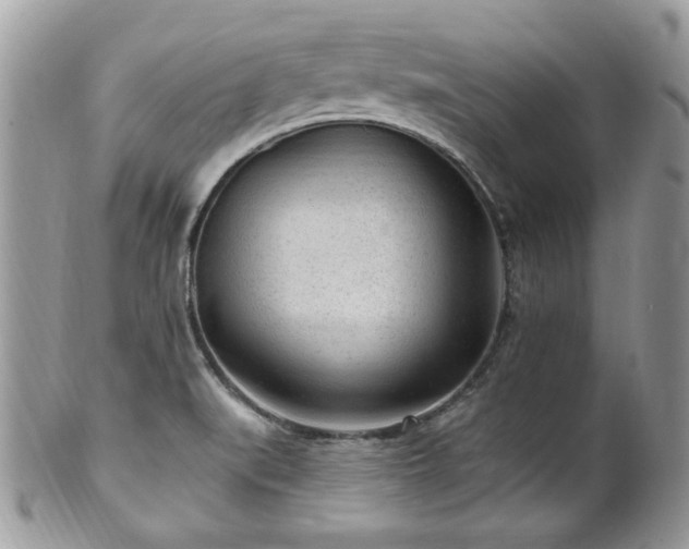 X0000102311519200807251427