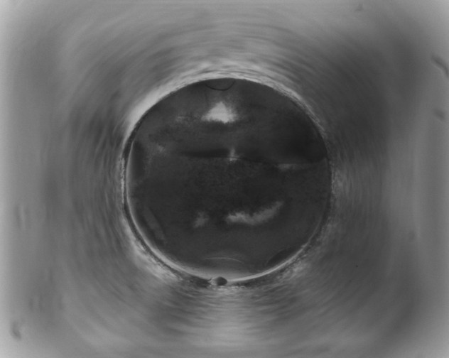 X0000102311522200807251427