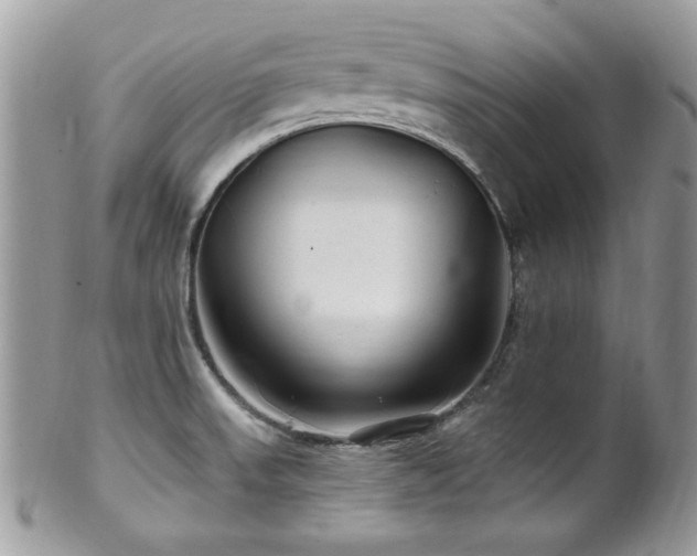 X0000102311523200807251427