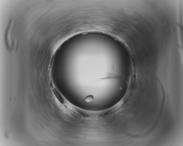 X0000102311524200807251427