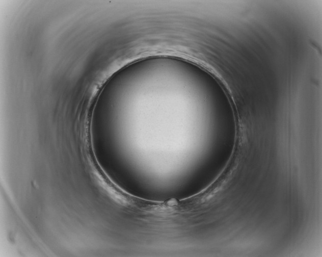 X0000102311525200807251427