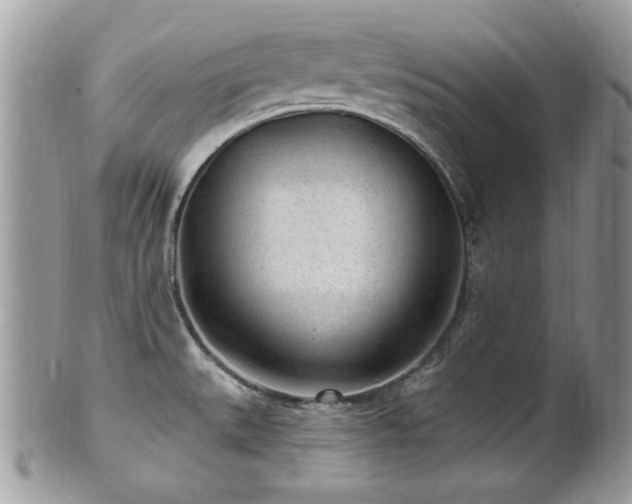 X0000102311527200807251427