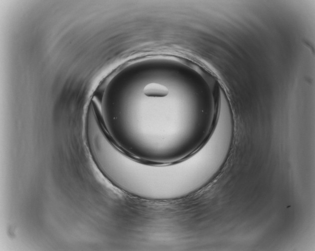 X0000102311528200807251427