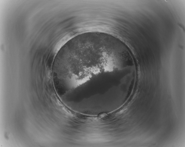 X0000102311529200807251427